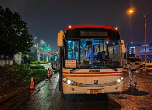 五一假期出行更便捷 上海閔行推出臨時(shí)接駁線與夜間免費(fèi)停車服務(wù)