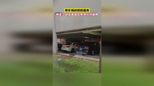 后備箱的秘密 揭秘停車場(chǎng)的“特殊服務(wù)”與空氣凈化新趨勢(shì)